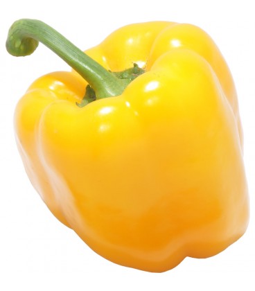 Poivron jaune 1pce env. 250 g