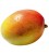 Mangue